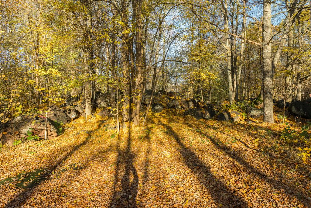 Skogsvägen 12, fastigheten Mönsterås Björken 3