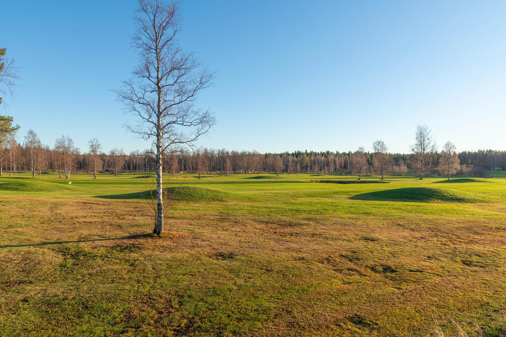 Piteå golfbana