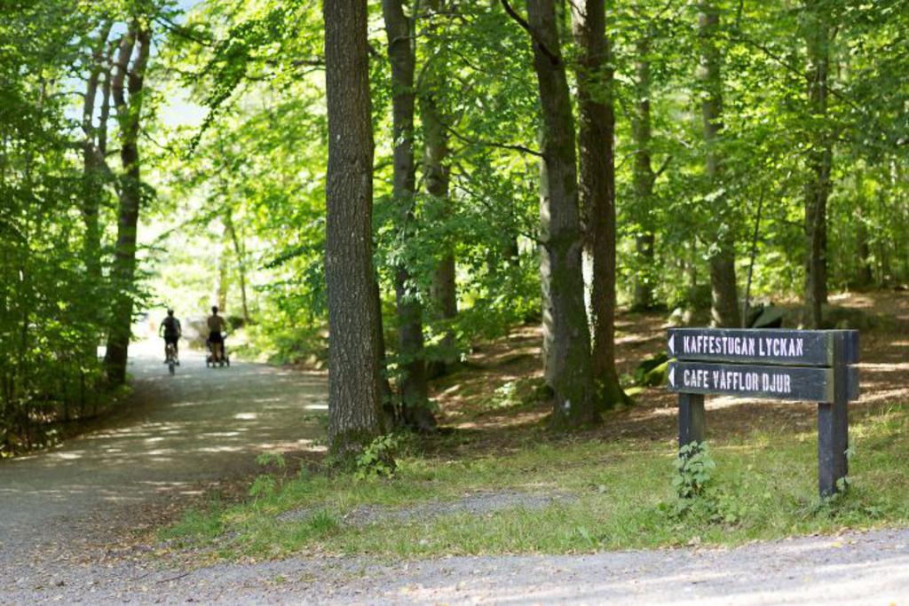 Mysiga Skatås naturområde ligger en cykeltur bort.