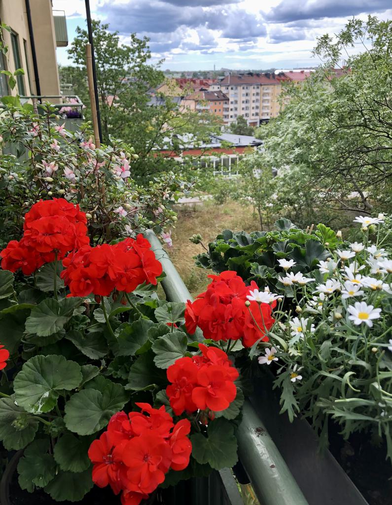 Säljarens egna bild