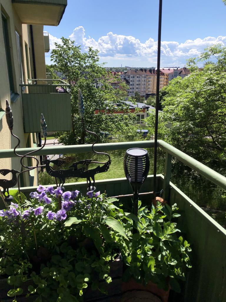 Säljarens egna bild