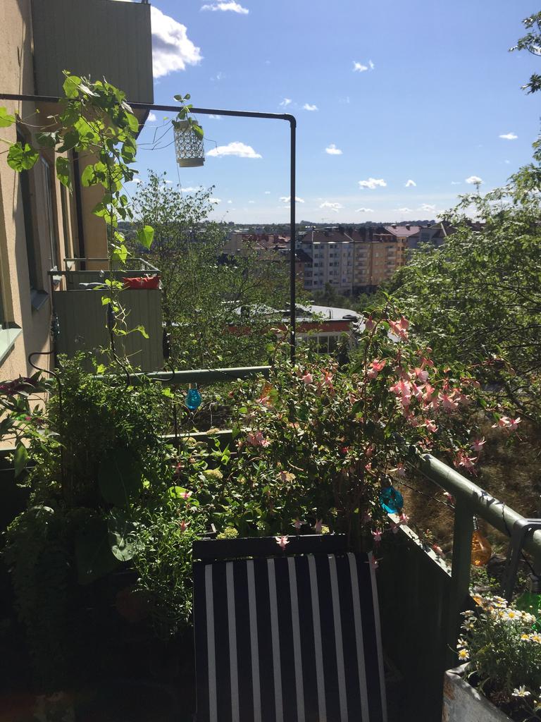 Säljarens egna bild