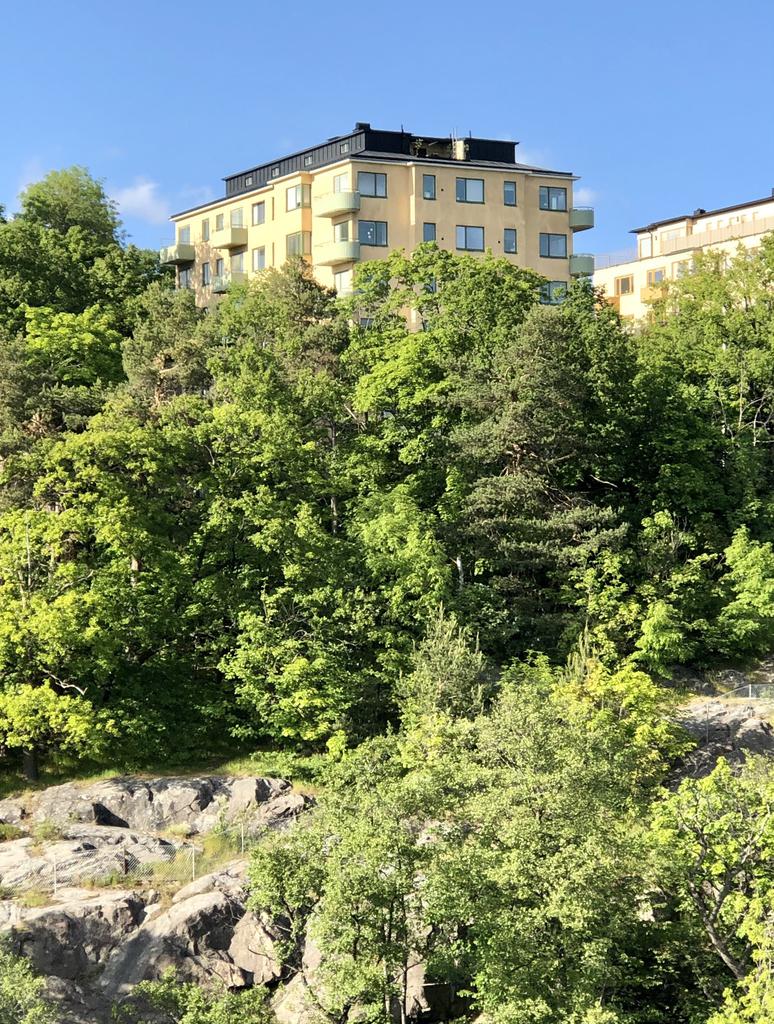 Säljarens egna bild