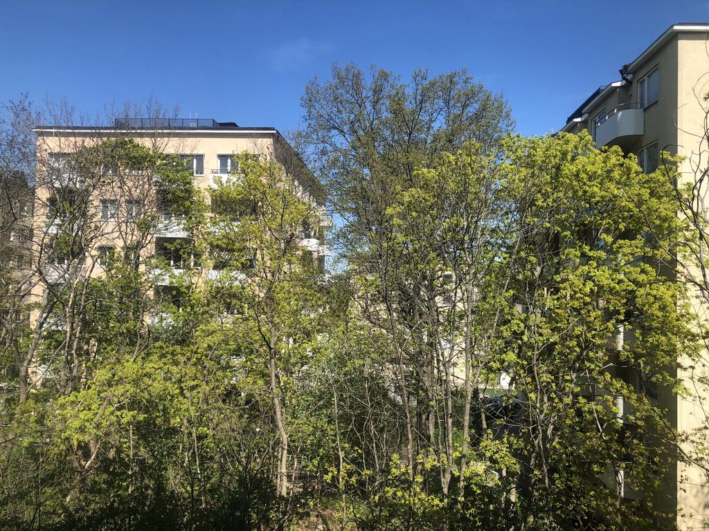 Säljarens egna bild