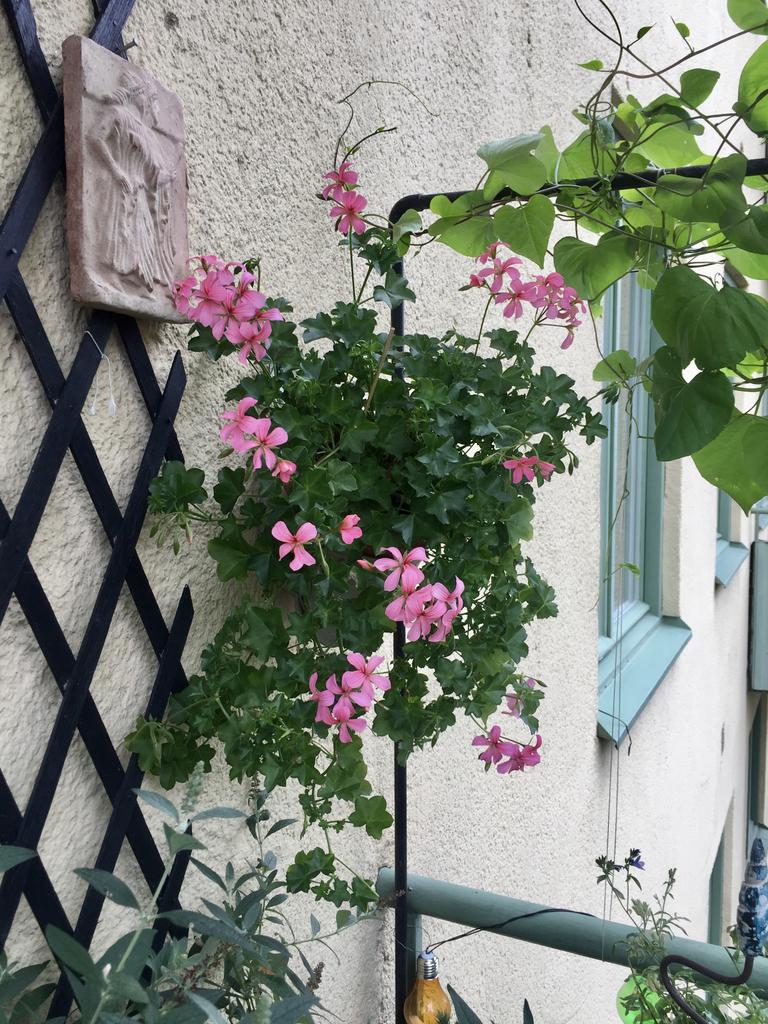 Säljarens egna bild