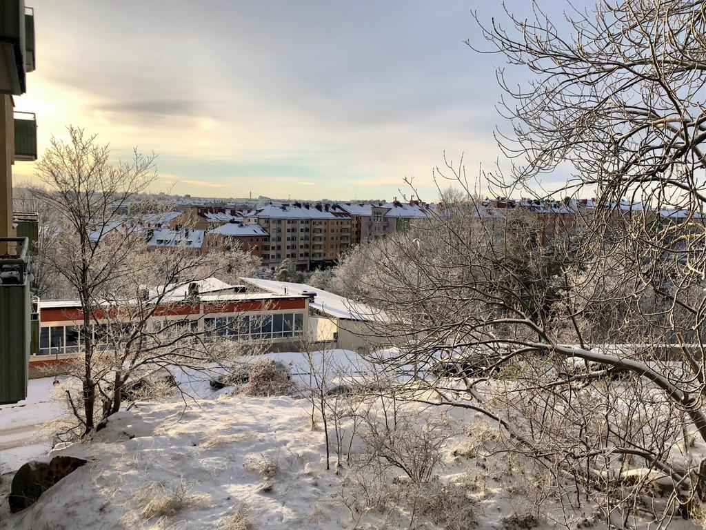 Säljarens egna bild