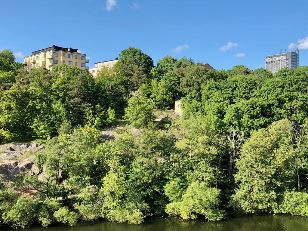 Säljarens egna bild