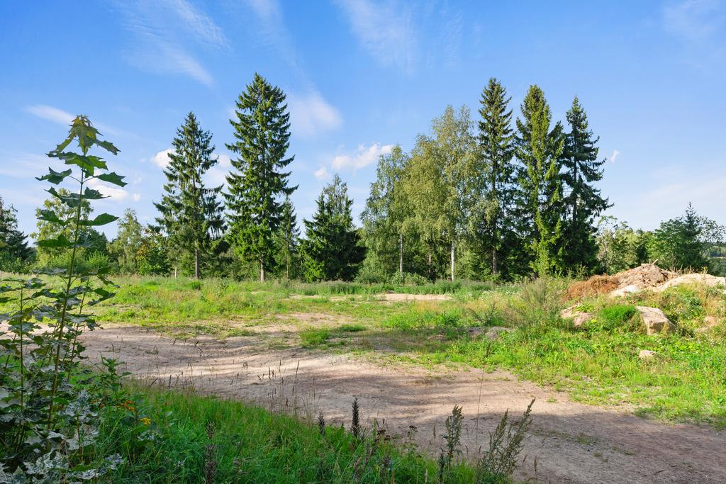 Tomten