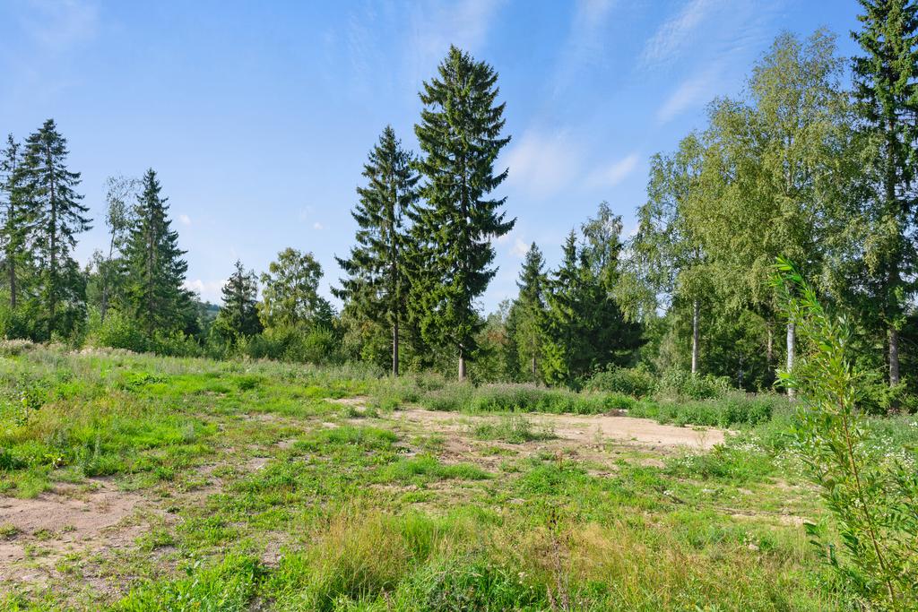 Tomten