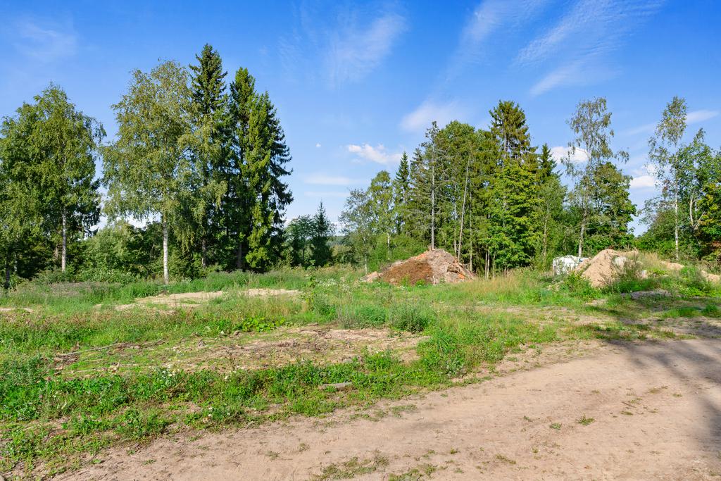 Tomten