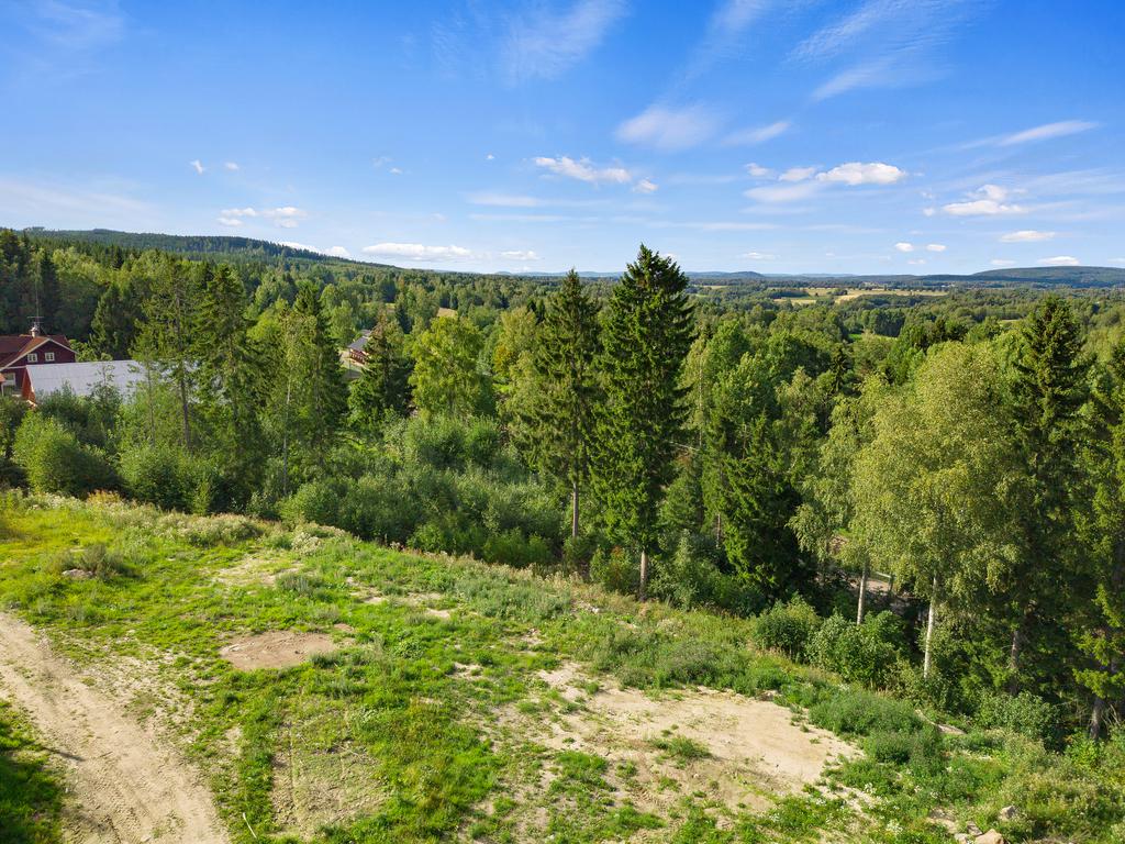 Vy över tomten
