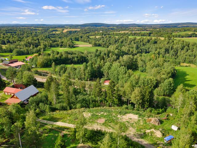 Område