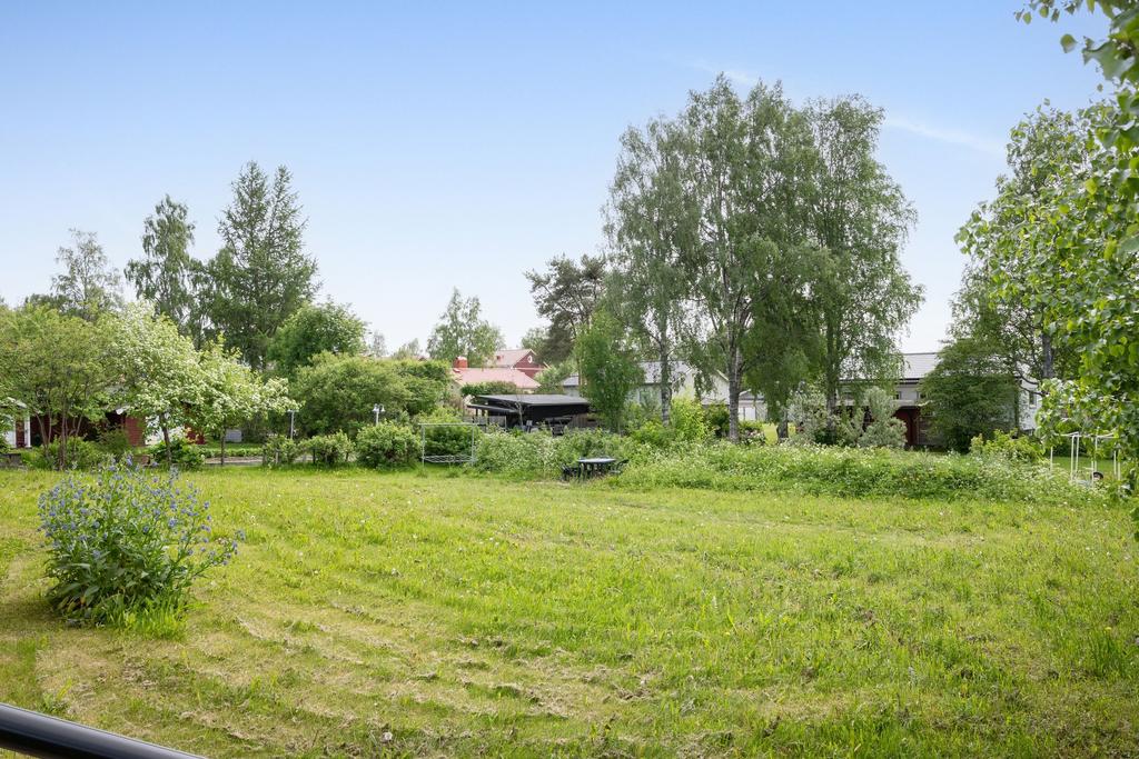 Stor och fin baksida