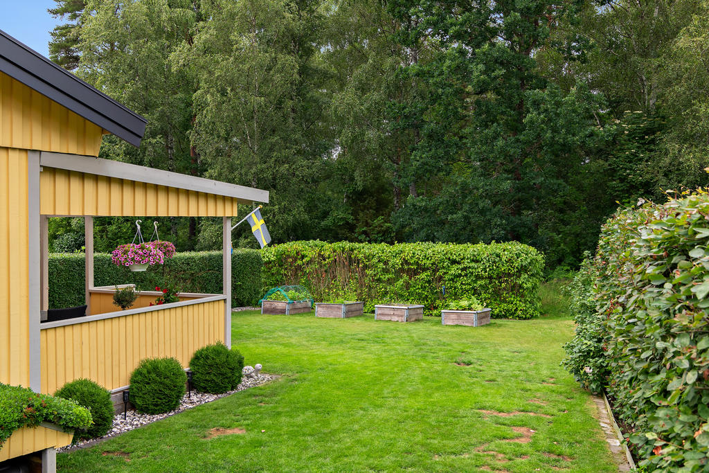 Härlig baksida