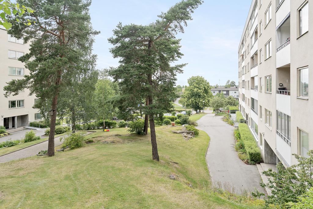 Föreningens innergård