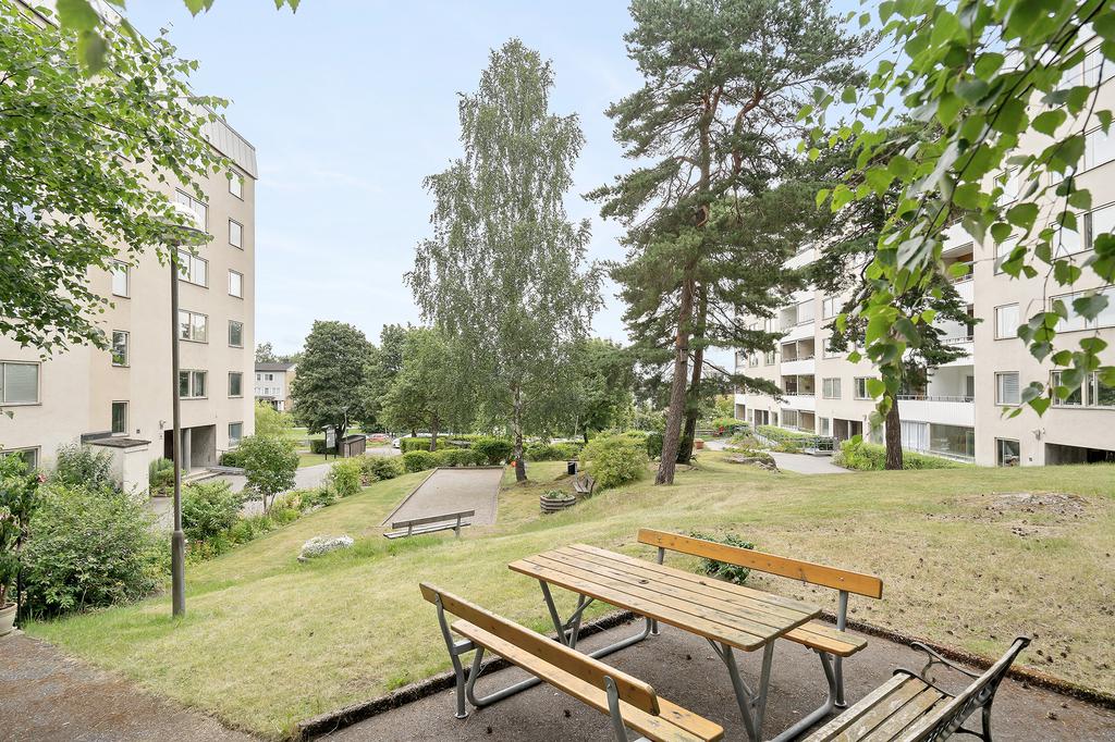 Föreningens innergård