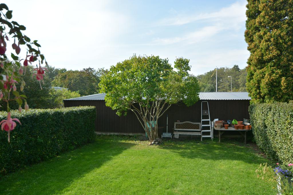 Skyddad trädgård i väster, sommarbild