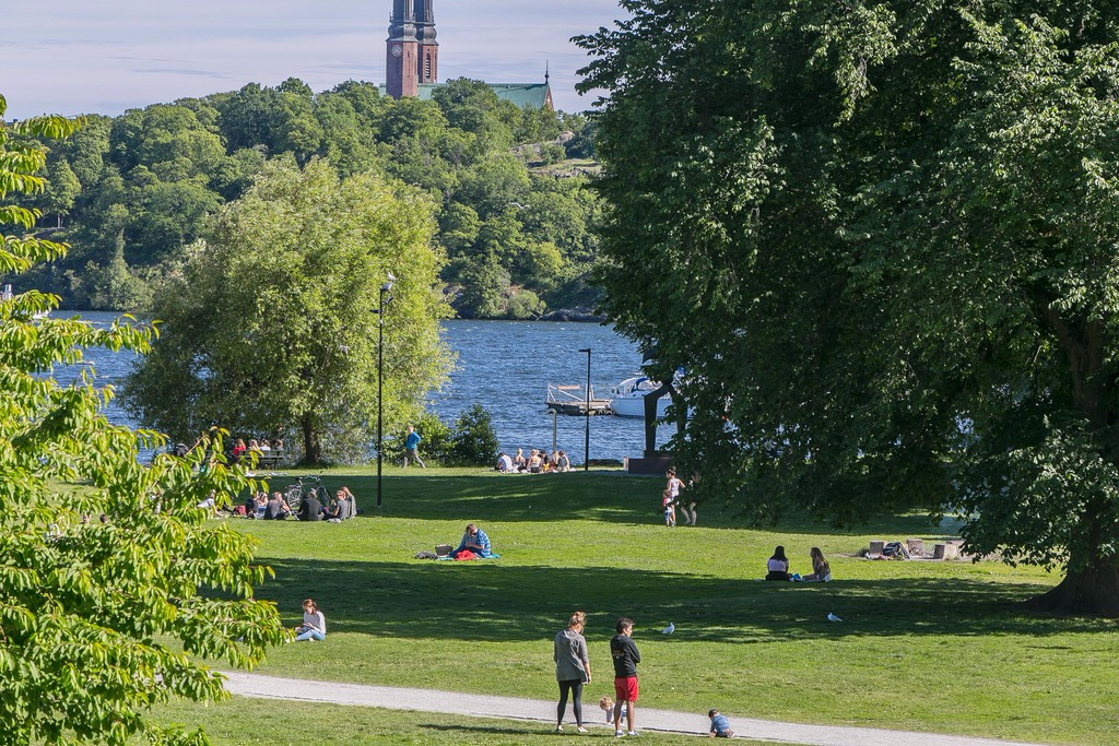 Områdesbild