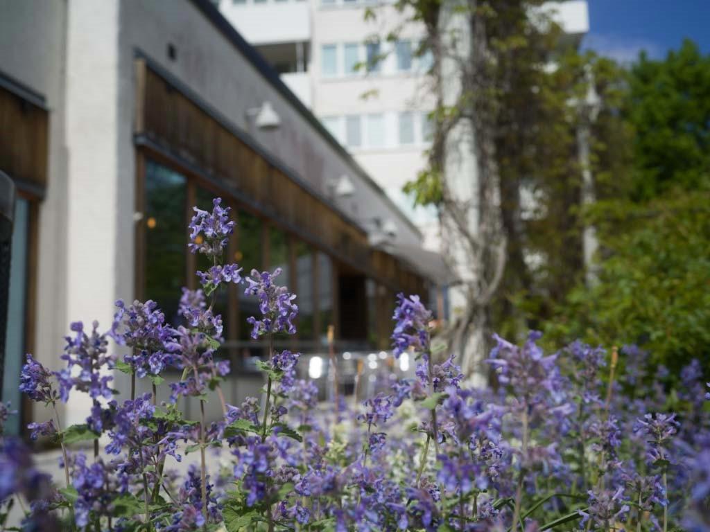 Skärsätra Torg, sommartid