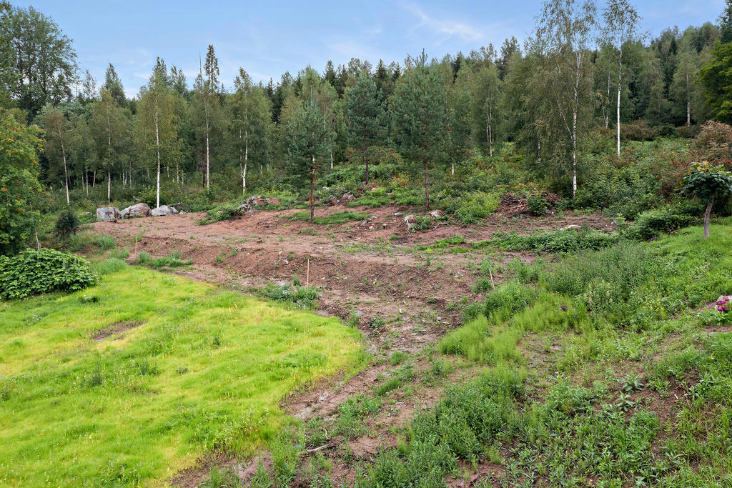 Tomterna vid skogsbrynet (Leksand Hälla 3:9 och 3:10). 