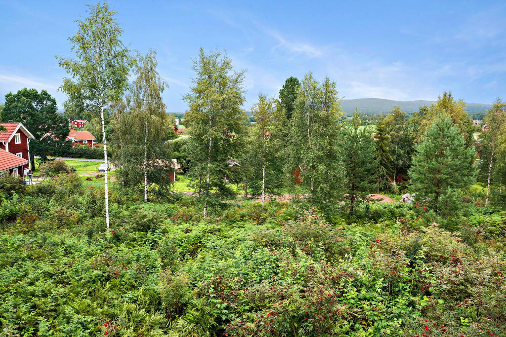 Tomterna vid skogsbrynet (Leksand Hälla 3:9 och 3:10).