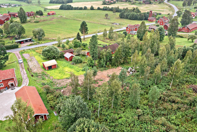 De två tomterna i skogsbrynet.