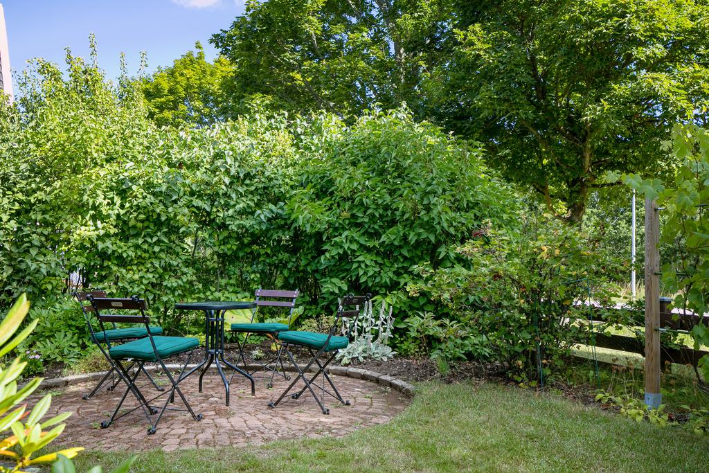 Mysig uteplats i trädgården