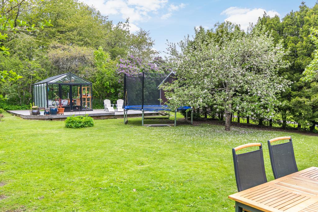 Trädgård med växthus