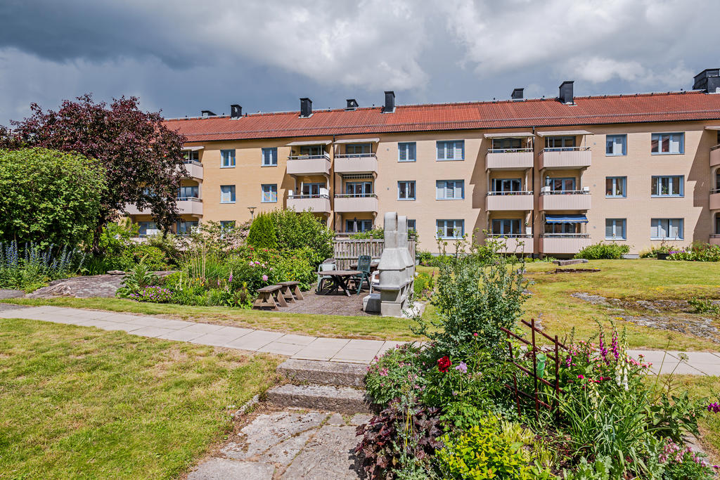 Trevlig och grönskande innergård