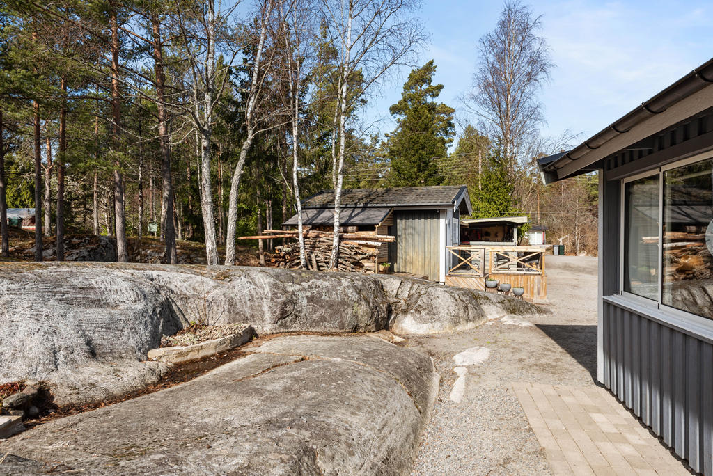 Berg i dager
