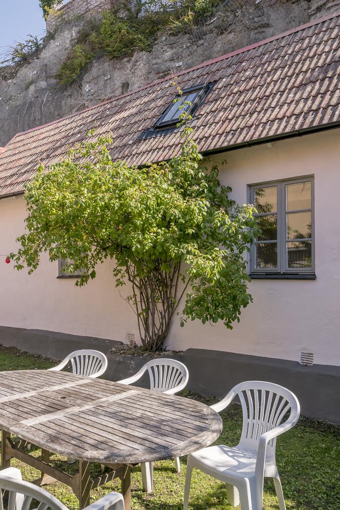 Trädgård