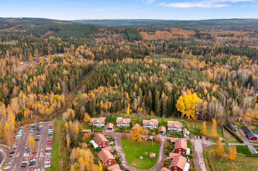 Både motionsspår och längdskidsspår finns i Bergebo