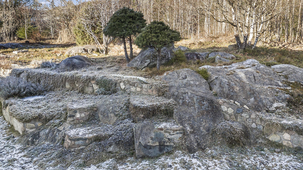 Skogstomt