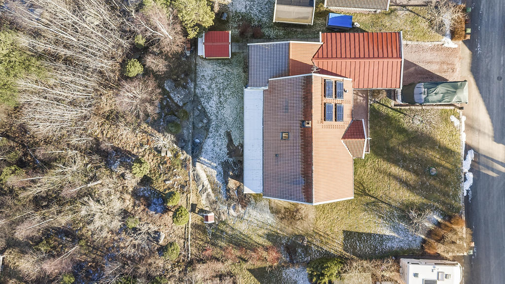 Med skogen nära