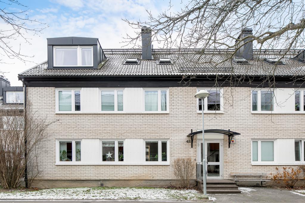 Exteriör