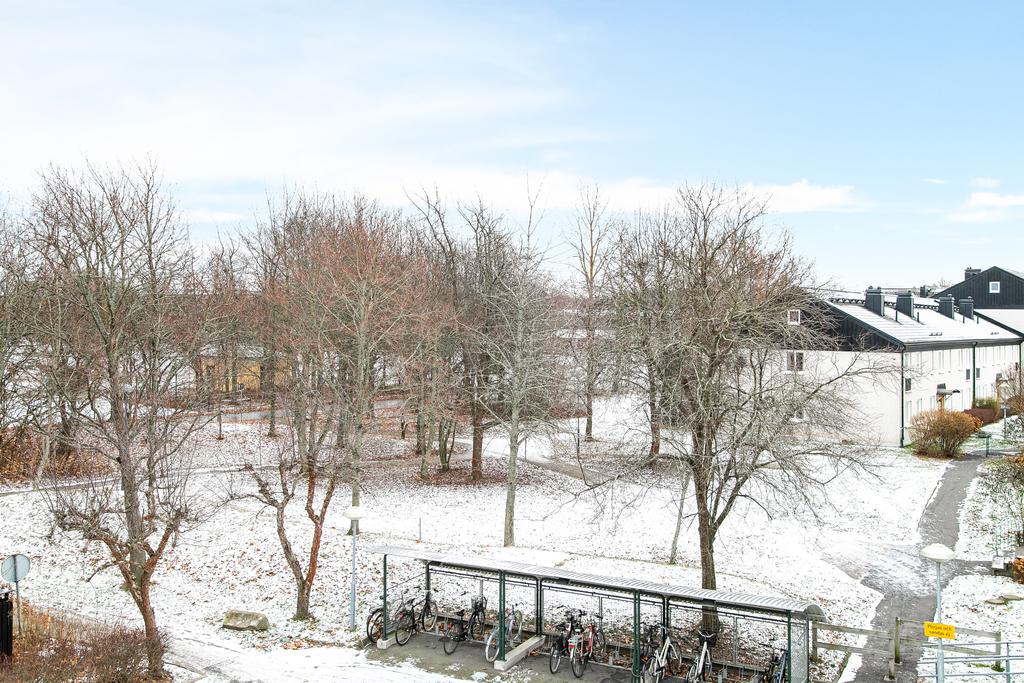 Utsikt