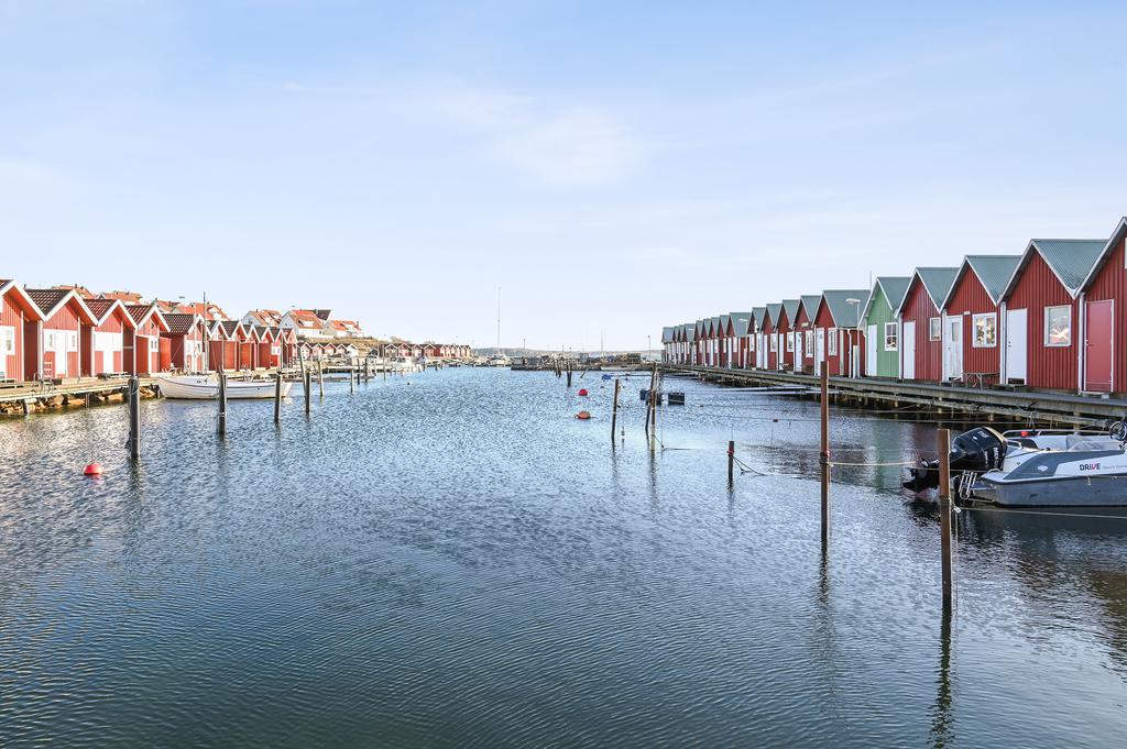 Springets hamn