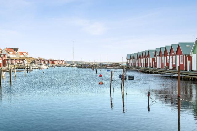 Välkommen till Springets hamn