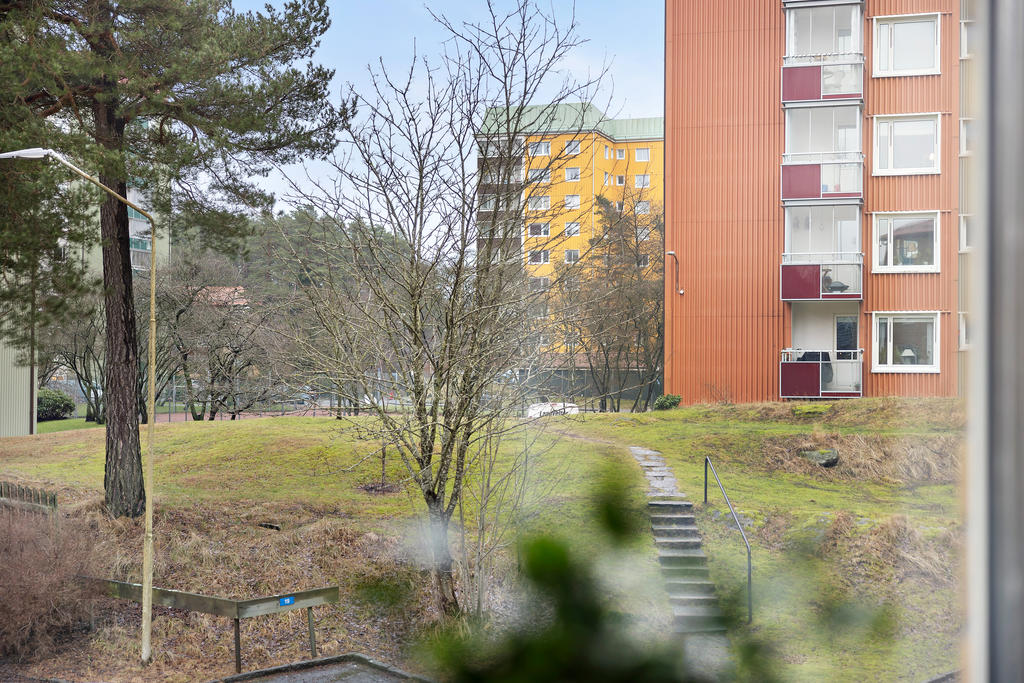 Utsikt från köksfönstret 