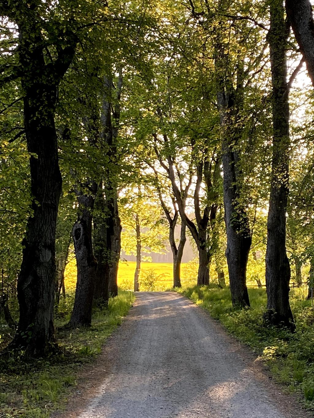 Naturköna omgivningar