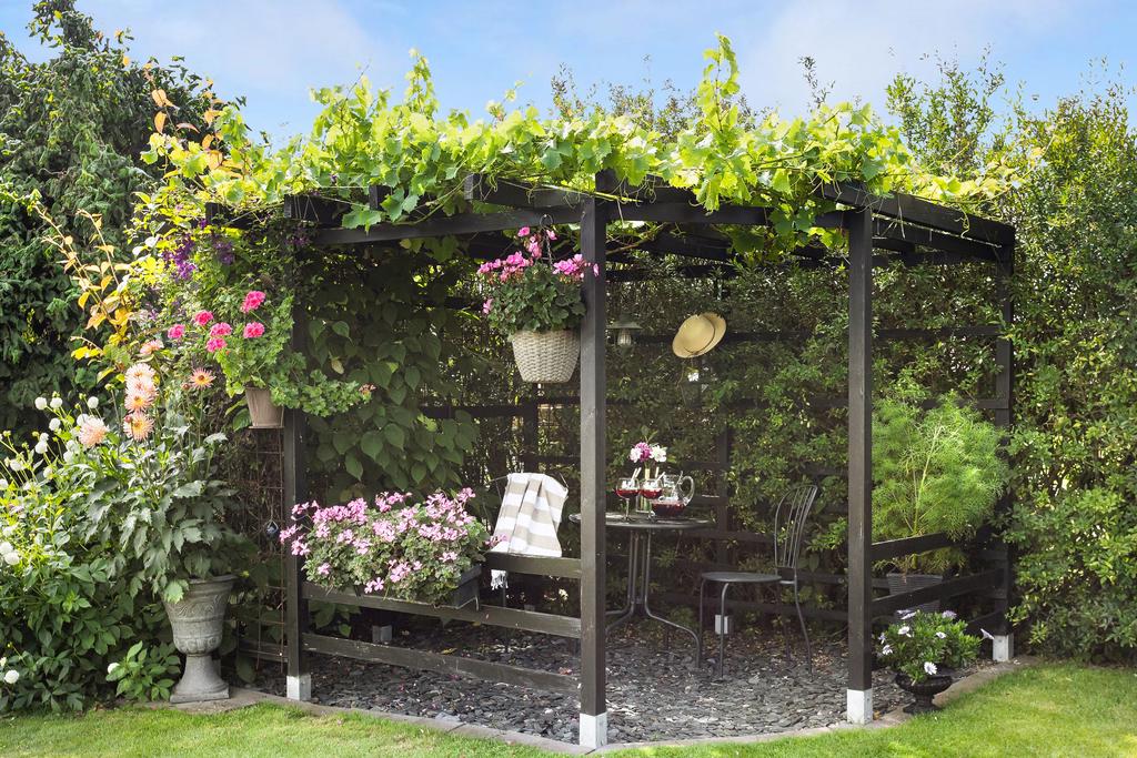 I ett hörn av den mysigt lummiga trädgården finns denna pergola.