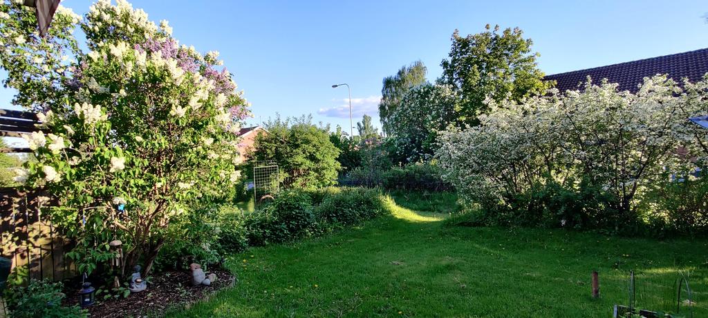 Säljarens sommarbild