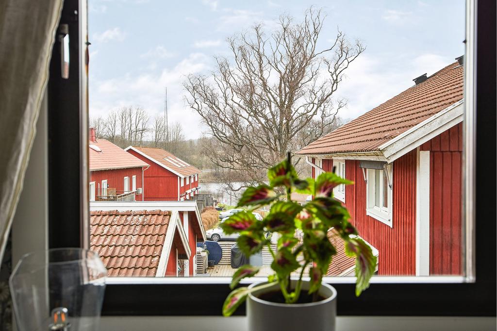 Utsikt ned mot vattnet