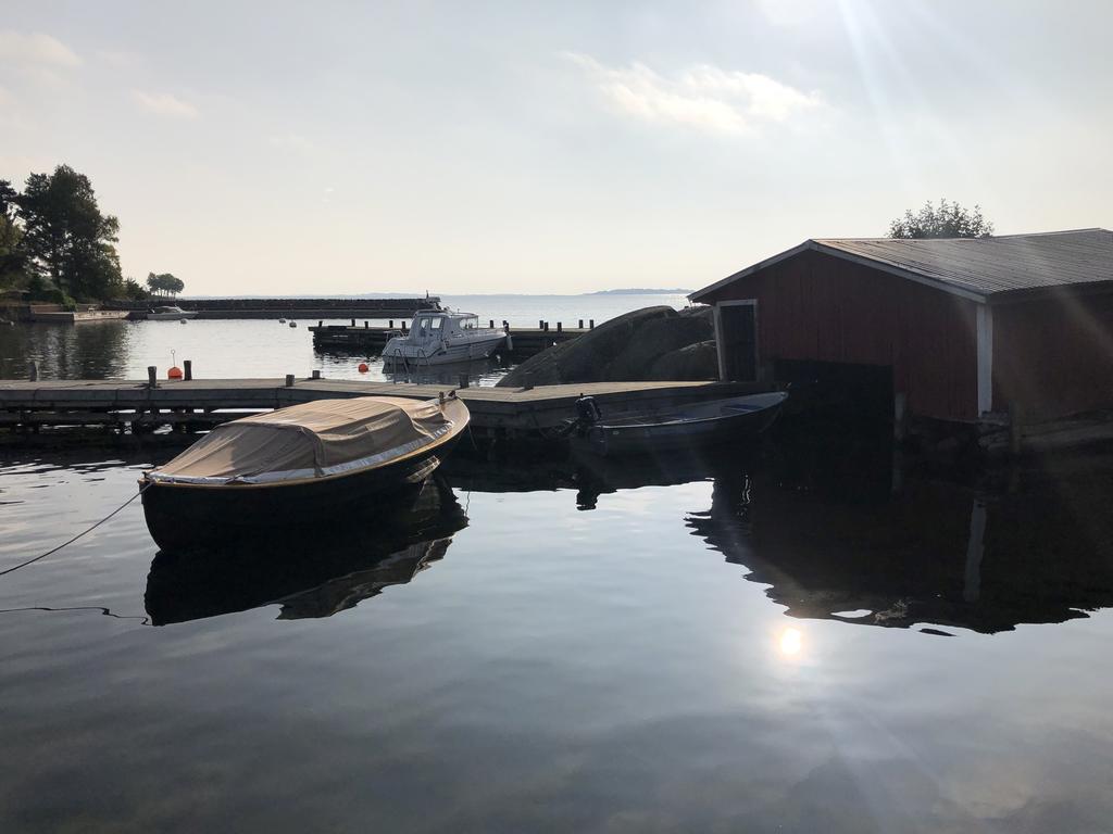 Koholmaviken