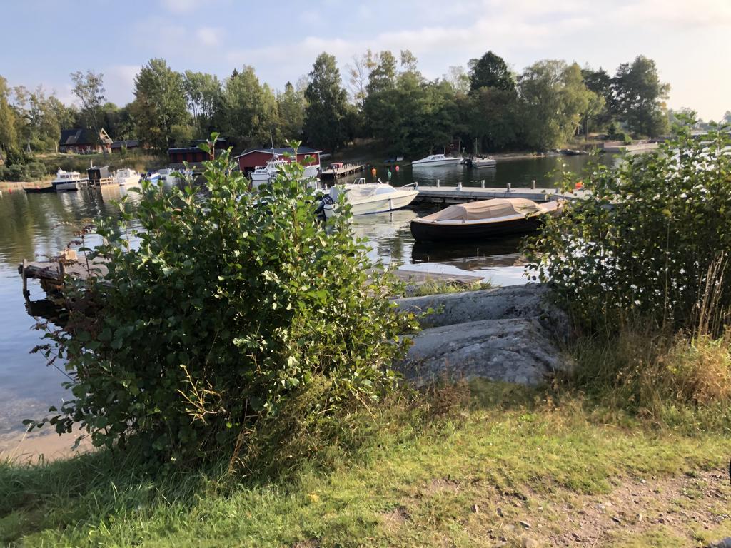 Koholmaviken