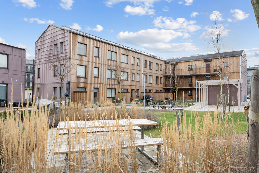 Välkommen till Gråsejsvägen