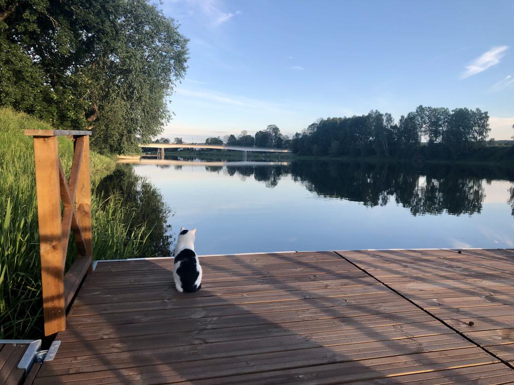 Läge för morgondopp