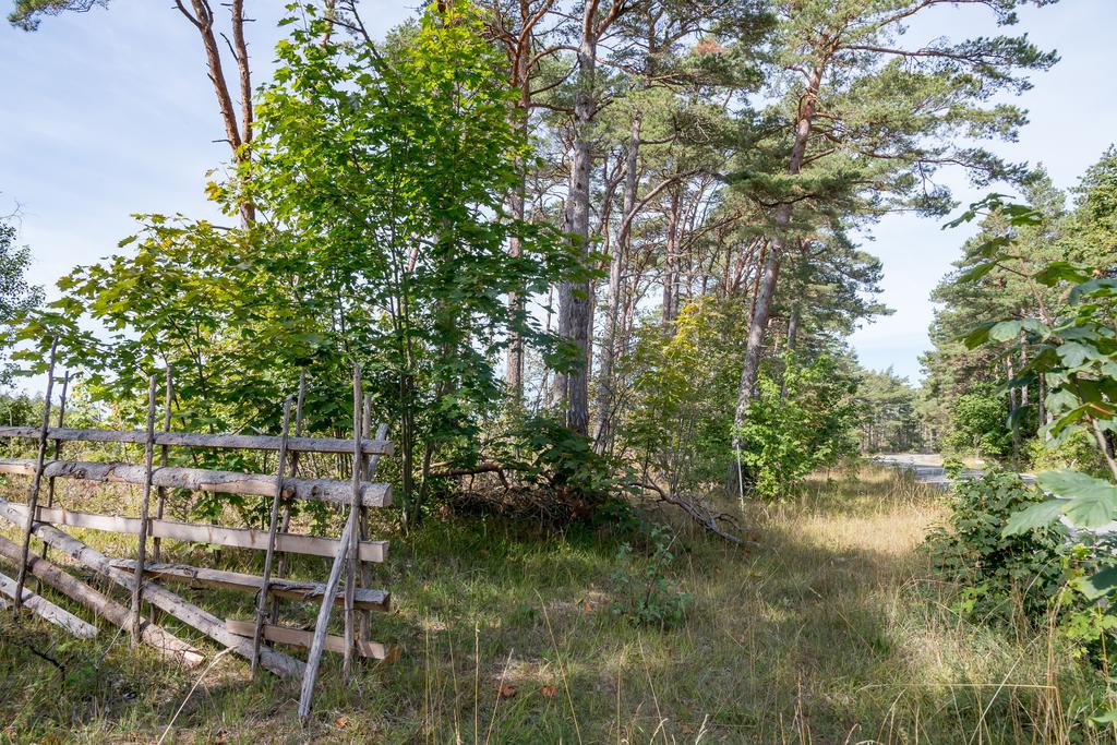 Trevligt läge utmed den lilla vägen