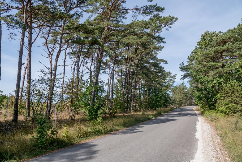 Trevligt läge utmed den lilla vägen