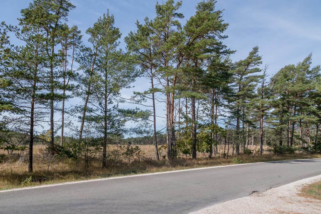 Tomter avstyckade med träd sparade mot vägen